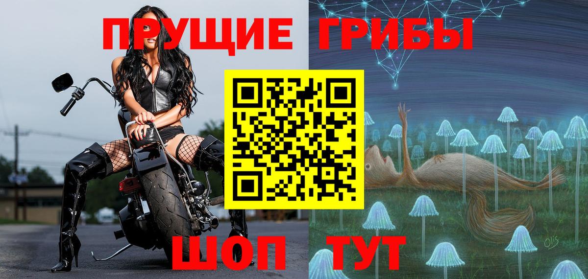 Псилоцибиновые грибы мицелий Зима