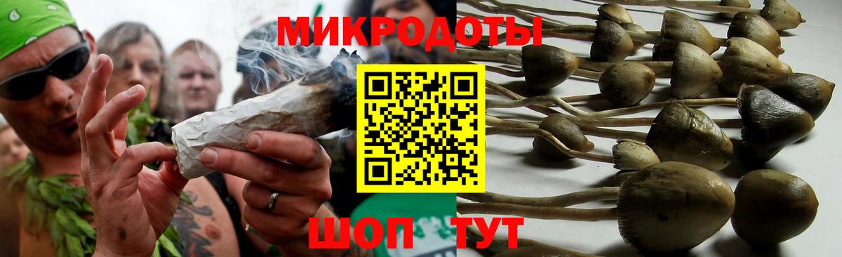 Псилоцибиновые грибы GOLDEN TEACHER  Галлюциногенные грибы Magic Shrooms  Зима  Вход с VPN 